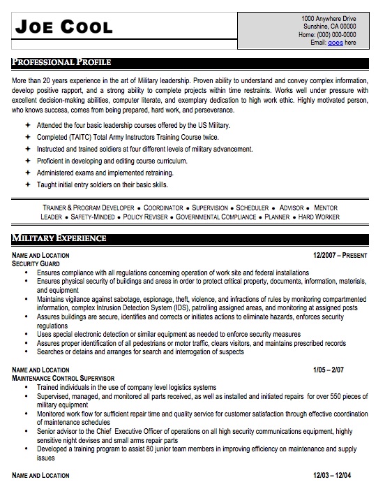 Professional Military Resume Sample