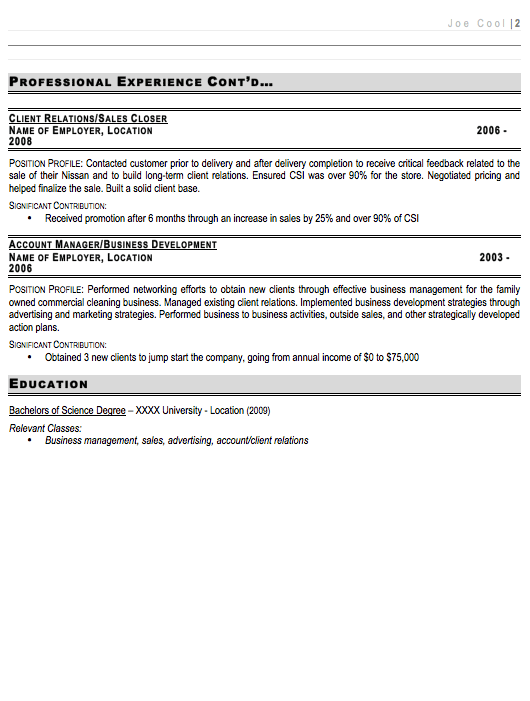 Professional Sales Manager Resume Sample